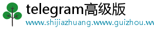 telegram高级版